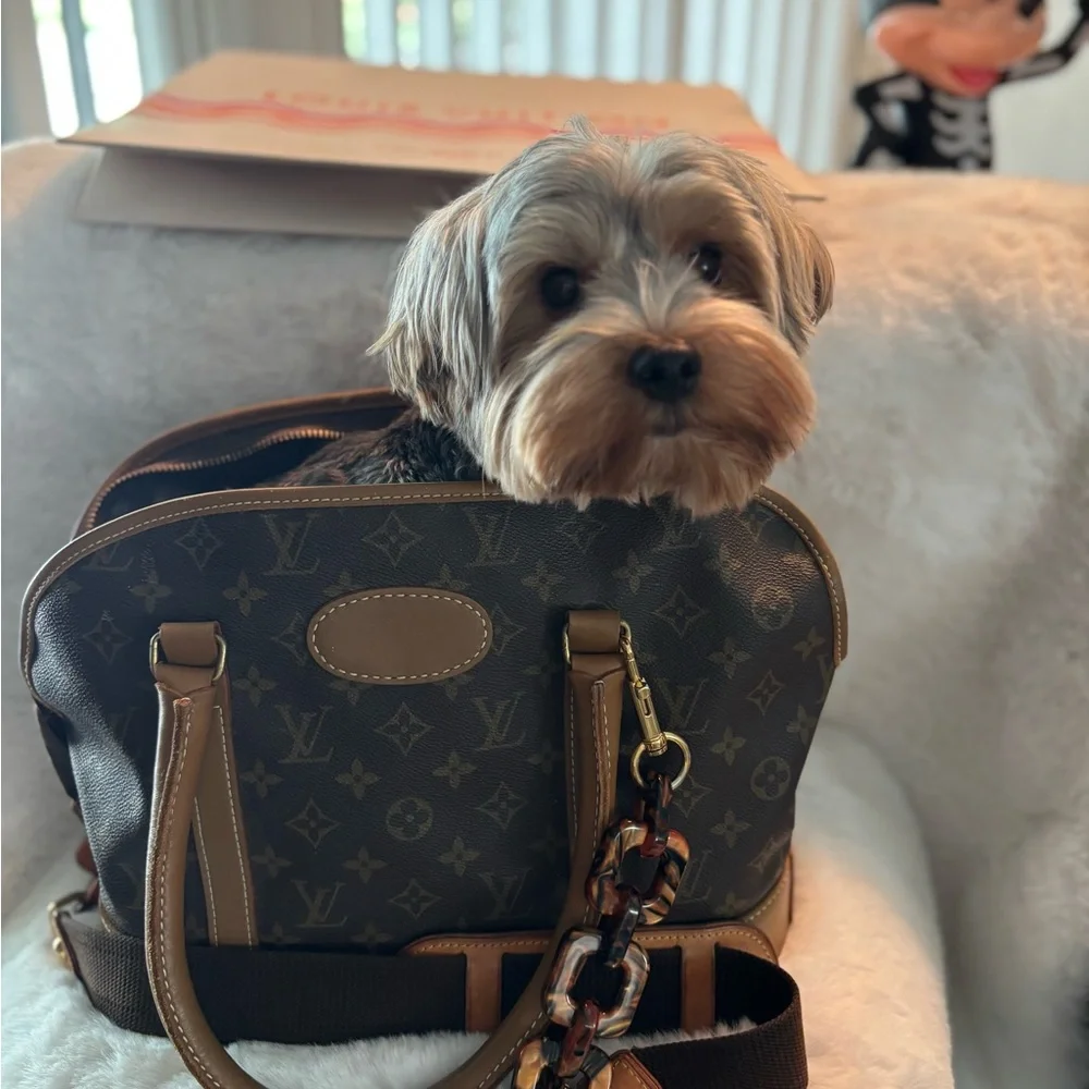 Louis Vuitton - Picture 2 of 13